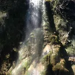 El Lenero Del Tio Ramon Puertomingalvo