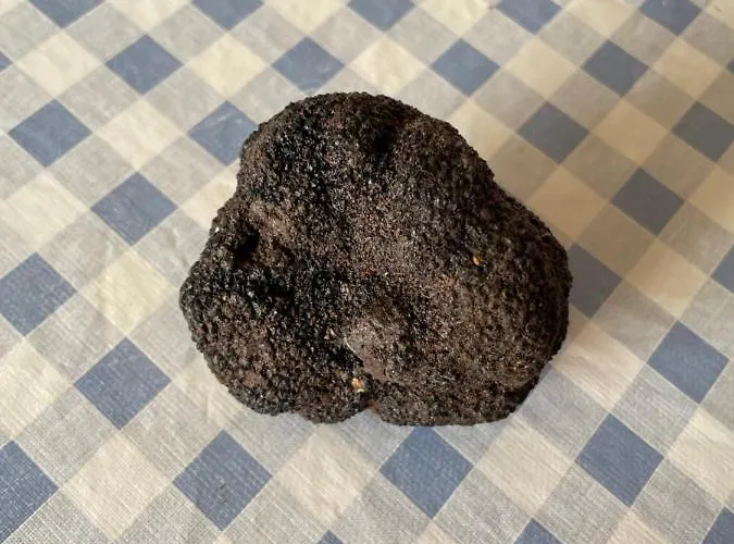 El Leñero Del Tío Ramón Casa rural Puertomingalvo