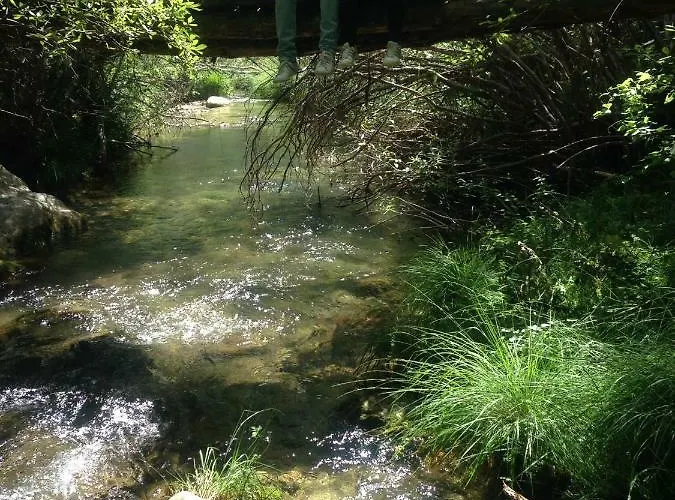 El Lenero Del Tio Ramon