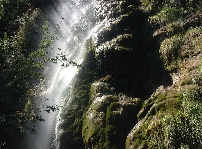 El Leñero Del Tío Ramón