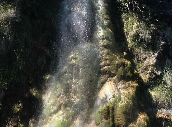 El Leñero Del Tío Ramón Puertomingalvo